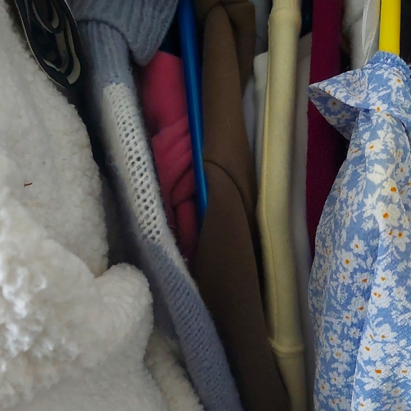 Meet your Posher, Clara - Picture 1 of 2